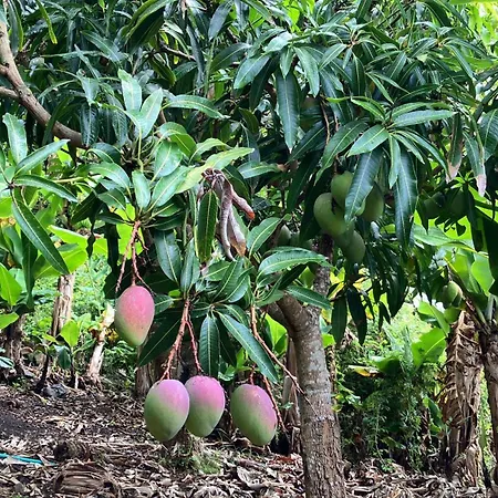 Vistalinda Ferienhaus